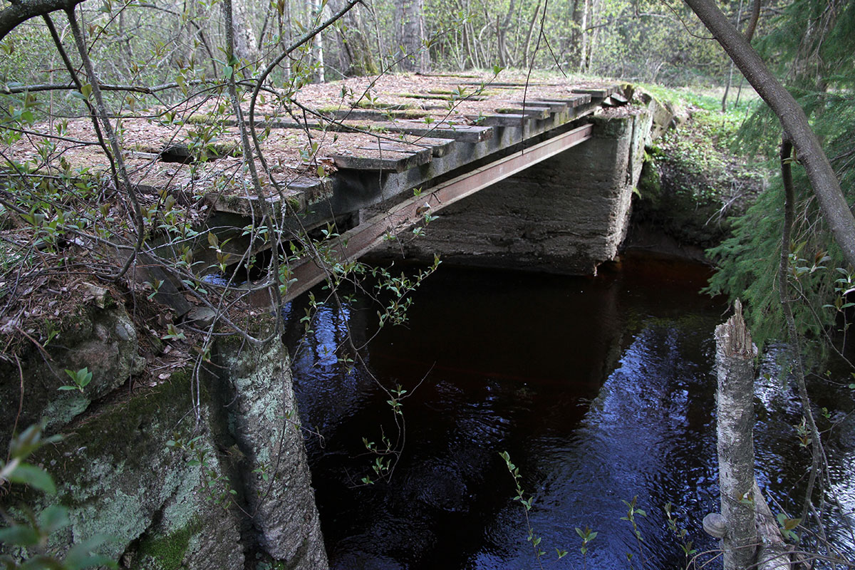 Skogs bro över Lillån